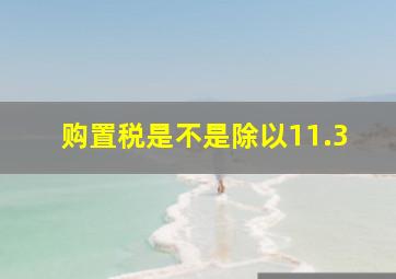 购置税是不是除以11.3