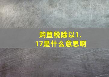 购置税除以1.17是什么意思啊