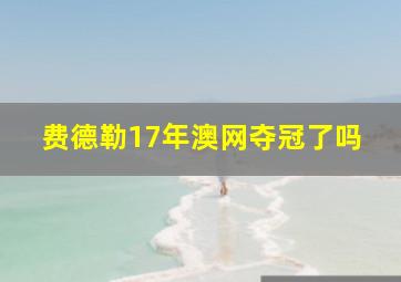 费德勒17年澳网夺冠了吗