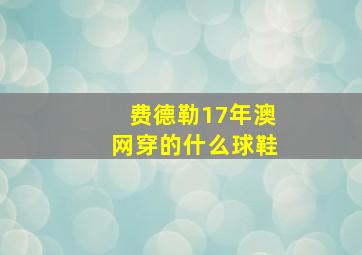 费德勒17年澳网穿的什么球鞋