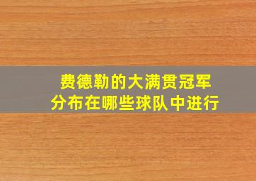 费德勒的大满贯冠军分布在哪些球队中进行