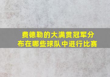 费德勒的大满贯冠军分布在哪些球队中进行比赛