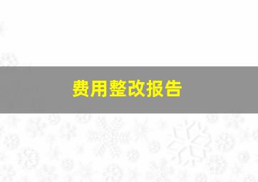 费用整改报告