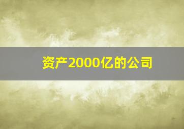 资产2000亿的公司