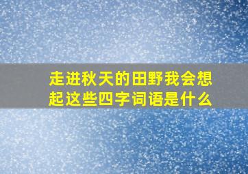 走进秋天的田野我会想起这些四字词语是什么