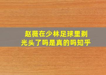 赵薇在少林足球里剃光头了吗是真的吗知乎