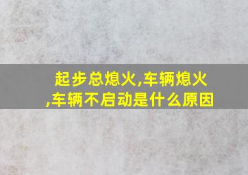 起步总熄火,车辆熄火,车辆不启动是什么原因