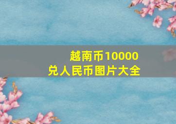 越南币10000兑人民币图片大全