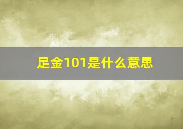 足金101是什么意思