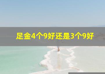 足金4个9好还是3个9好