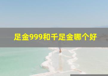 足金999和千足金哪个好