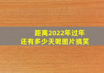 距离2022年过年还有多少天呢图片搞笑