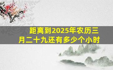 距离到2025年农历三月二十九还有多少个小时