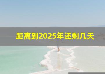 距离到2025年还剩几天