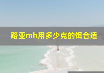 路亚mh用多少克的饵合适