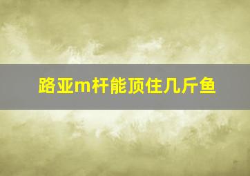 路亚m杆能顶住几斤鱼