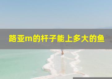 路亚m的杆子能上多大的鱼