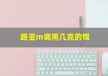 路亚m调用几克的饵