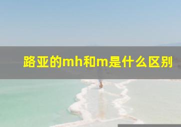 路亚的mh和m是什么区别