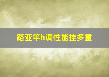 路亚竿h调性能挂多重