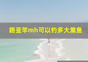 路亚竿mh可以钓多大黑鱼