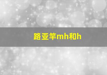 路亚竿mh和h