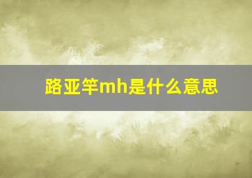 路亚竿mh是什么意思