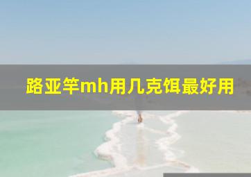 路亚竿mh用几克饵最好用