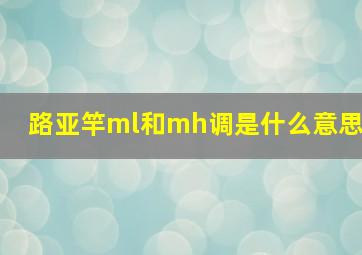 路亚竿ml和mh调是什么意思