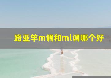 路亚竿m调和ml调哪个好