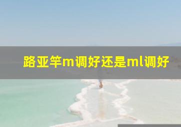 路亚竿m调好还是ml调好