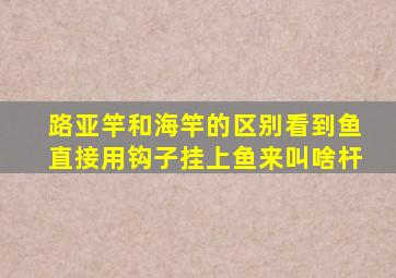 路亚竿和海竿的区别看到鱼直接用钩子挂上鱼来叫啥杆