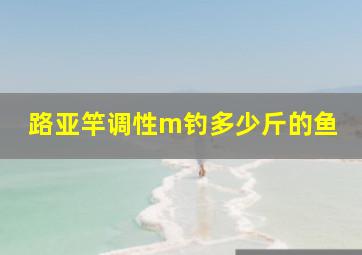 路亚竿调性m钓多少斤的鱼