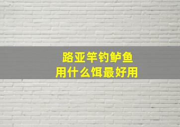 路亚竿钓鲈鱼用什么饵最好用