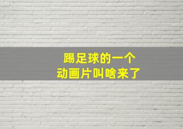 踢足球的一个动画片叫啥来了