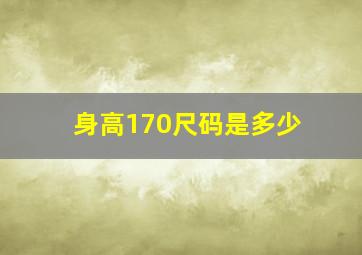 身高170尺码是多少