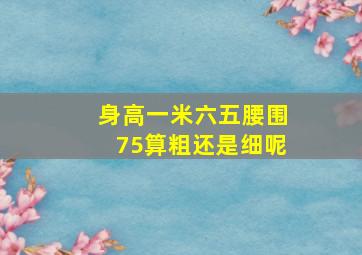 身高一米六五腰围75算粗还是细呢