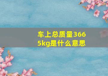 车上总质量3665kg是什么意思