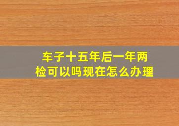 车子十五年后一年两检可以吗现在怎么办理