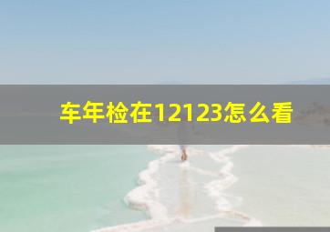 车年检在12123怎么看