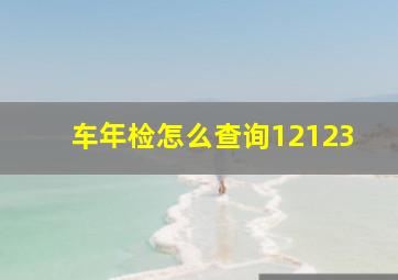 车年检怎么查询12123