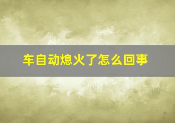 车自动熄火了怎么回事