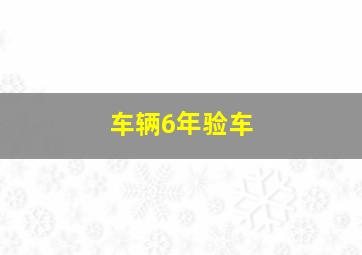 车辆6年验车