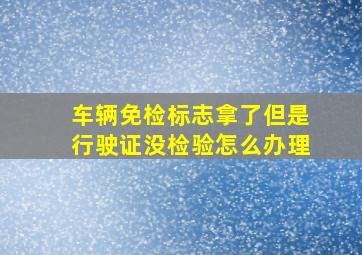 车辆免检标志拿了但是行驶证没检验怎么办理