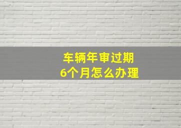 车辆年审过期6个月怎么办理