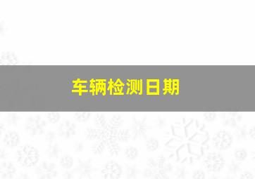 车辆检测日期