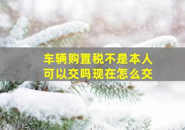 车辆购置税不是本人可以交吗现在怎么交