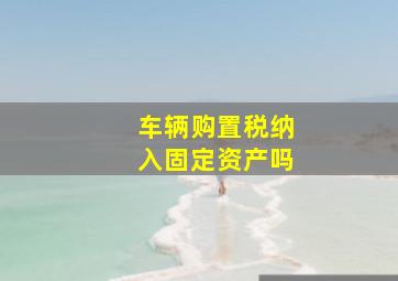 车辆购置税纳入固定资产吗