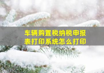 车辆购置税纳税申报表打印系统怎么打印