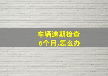 车辆逾期检查6个月,怎么办